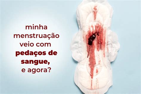 masturbar menstruada|3 Formas de Fazer Sexo Durante sua Menstruação